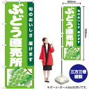 ぶどう直売所(黄緑地) のぼり JA-734(受注生産品・キャンセル不可)(3)