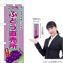 ミニのぼり この先ぶどう直売所(紫ぶどう) JA-785(受注生産品・キャンセル不可)