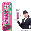 ミニのぼり この先ぶどう直売所(赤ぶどう) JA-786(受注生産品・キャンセル不可)(3)