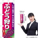 ミニのぼり ぶどう狩り(ピンク地) JA-822(受注生産品・キャンセル不可)