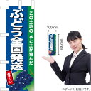 ミニのぼり ぶどう全国発送(紺地) JA-836(受注生産品・キャンセル不可)