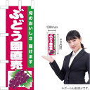 ミニのぼり ぶどう園直売(赤地) JA-866(受注生産品・キャンセル不可)