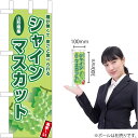 ミニのぼり 山形県シャインマスカット JA-875(受注生産品・キャンセル不可)