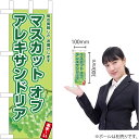 ミニのぼり マスカットオブアレキサンドリア JA-881(受注生産品・キャンセル不可)
