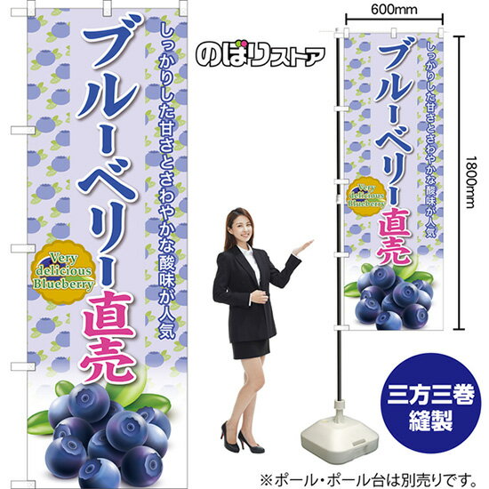 ブルーベリー直売 のぼり JA-960（受注生産品・キャンセル不可）
