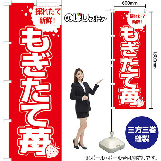 のぼり旗 もぎたて苺 （赤文字) JA-989 （受注生産品・キャンセル不可）