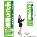 【3枚まで送料297円】ぶどう直売（