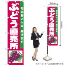 ぶどう直売所(赤地) スマートのぼり JAS-733(受注生産品・キャンセル不可)