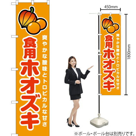 【3枚まで送料297円】食用ホオズキ スマートのぼり JAS-912（受注生産品・キャンセル不可）
