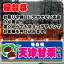 【3枚まで送料297円】天津甘栗 (青) 横幕 JY-352 (受注生産品・キャンセル不可)