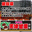 【3枚まで送料297円】天津甘栗 (黒) 横幕 JY-355 (受注生産品・キャンセル不可)