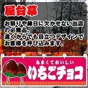 【3枚まで送料297円】いちごチョコ 横幕 JY-655 (受注生産品・キャンセル不可)