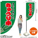 きゅうり串 (緑) キッチンカーフラッグ(ロング) 移動販売 移動屋台 フードトラック サービスエリア 縁日 お祭り 冷し野菜KCF-2107(受注生産品・キャンセル不可)