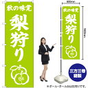 秋の味覚 梨狩り のぼり NMB-479(受注生産品・キャンセル不可)