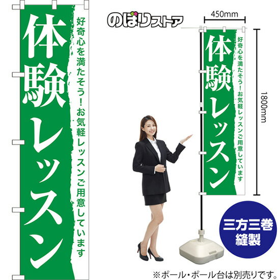 スマートのぼり旗 体験レッスン 好奇心を満たそう！お気軽レッスンご用意しています NMBS-1145 （受注..
