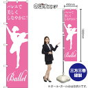 スマートのぼり旗 Ballet バレエで美しくしなやかに! NMBS-1161 (受注生産品・キャンセル不可)(3)