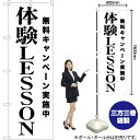 体験LESSON のぼり SKE-1230(受注生産品・キャンセル不可)(3)