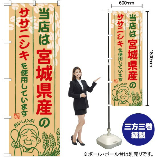 【3枚まで送料297円】 