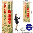 兵庫県産のコシヒカリ のぼり SNB-922 (受注生産品・キャンセル不可)(3)