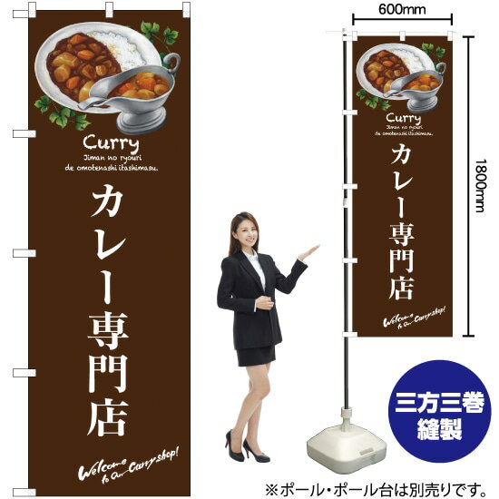 カレー専門店 のぼり SNB-3145 （受注生産品・キャンセル不可）