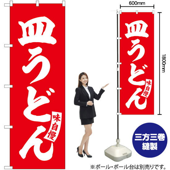 【3枚まで送料297円】 皿うどん （赤