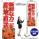 新鮮なカニを産地直送 のぼり SNB-7018 (受注生産品・キャンセル不可)