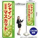 シャインマスカット 山形県産 のぼり SNB-7191 (受注生産品・キャンセル不可)(3)