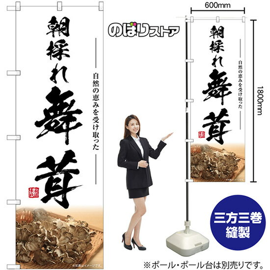 舞茸 朝採れ のぼり SNB-7449 （受注生産品・キャンセル不可）