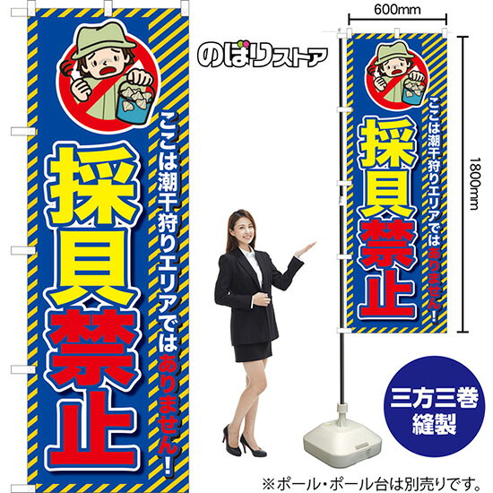 のぼり旗 採貝禁止 TN-1144 （受注生産品・キャンセル不可）