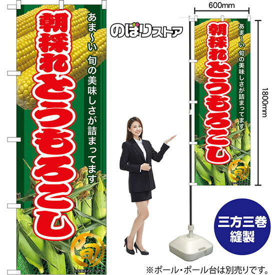 のぼり旗 朝採れとうもろこし あま〜い 旬の美味しさが詰まってます （緑） TN-130...