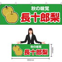 【3枚まで送料297円】秋の味覚 長十郎梨 (緑) 横幕 YK-86 (受注生産品・キャンセル不可)