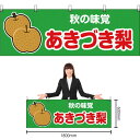 【3枚まで送料297円】秋の味覚 あきづき梨 (緑) 横幕 YK-88 (受注生産品・キャンセル不可)
