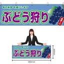 【3枚まで送料297円】ぶどう狩り (黒ぶどう) 横幕 YK-936 (受注生産品・キャンセル不可)