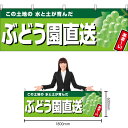【3枚まで送料297円】ぶどう園直送 (黄緑地) 横幕 YK-979 (受注生産品・キャンセル不可)