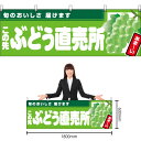 【3枚まで送料297円】この先ぶどう直売所 (黄緑地) 横幕 YK-999 (受注生産品・キャンセル不可)