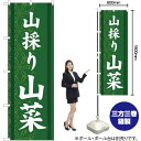 【3枚まで送料297円】山採り 山菜 のぼり YN-1575（受注生産品 キャンセル不可）