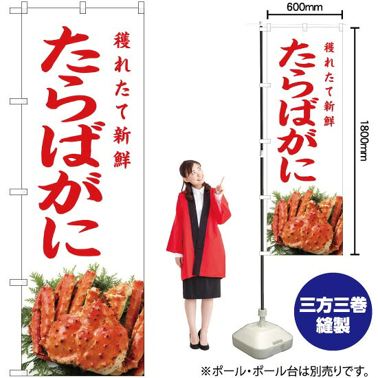 穫れたて新鮮 たらばがに （白） の