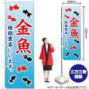 金魚 種類豊富にいます のぼり YN-2406(受注生産品・キャンセル不可)