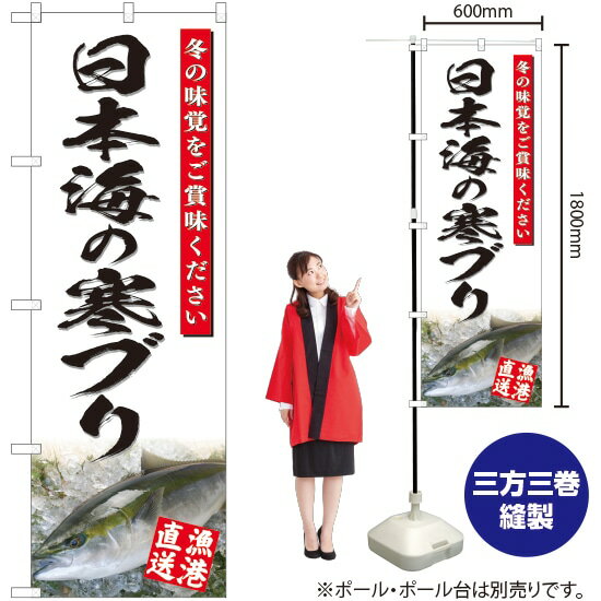 【3枚まで送料297円】日本海の寒ブリ（白） のぼり YN-4815（受注生産品・キャンセル不可）