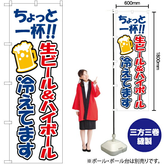 【3枚まで送料297円】ちょっと一杯 生ビール&ハイボール 冷えてます のぼり YN-7564（受注生産品・キャンセル不可）