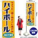 【3枚まで送料297円】ハイボール 冷えてます （レトロ） のぼり YN-7587 （受注生産品・キャンセル不可）