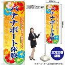 バナナボート体験 のぼり YN-7986(受注生産品・キャンセル不可)