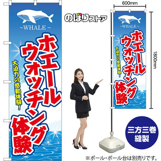 のぼり旗 ホエールウォッチング体験 大迫力の感動体験！ WHALE （青） YN-8669 （受注生産品・キャンセル不可）(3)