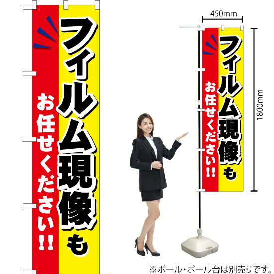フィルム現像もお任せください スマートのぼり YNS-0525（受注生産品・キャンセル不可）