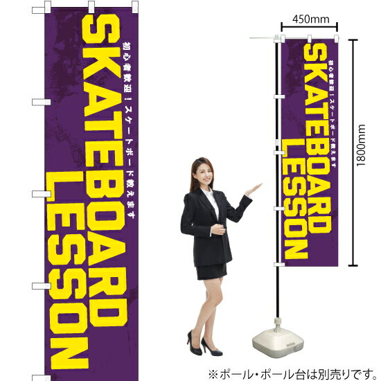 SKATEBOARD LESSON スマートのぼり YNS-7536（受注生産品・キャンセル不可）