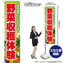 スマートのぼり 野菜収穫体験 鮮度抜群、とれたての味! (緑) YNS-8708 (受注生産品・キャンセル不可)(3)