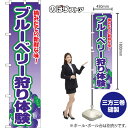スマートのぼり ブルーベリー狩り体験 摘みたての新鮮な味! (紫) YNS-8718 (受注生産品・キャンセル不可)(3)