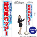 スマートのぼり 遊覧飛行ツアー 上空から眺める壮大な景観! (青) YNS-8808 (受注生産品・キャンセル不可)(3)