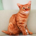 猫 抱き枕 ネコ ぬいぐるみ リアル 猫 クッション かわいい 様式3 3Dプリント ギフト 取り外し可 洗える 面白い 置物 ふわふわ アニマル 添い寝 横向...