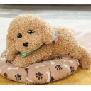 本物そっくり ぬいぐるみ リアル 抱き枕 ビーズ ギフト 誕生日 デスク 昼寝まくら ミニ 縫いぐるみ 背もたれ イヌ 縫い包み ベル デザイン もえもえ 携帯...